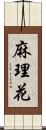 麻理花 Scroll