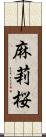 麻莉桜 Scroll