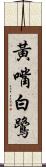 黃嘴白鷺 Scroll