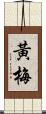黃梅 Scroll