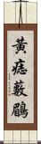 黃痣藪鶥 Scroll