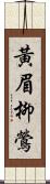 黃眉柳鶯 Scroll