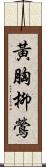 黃胸柳鶯 Scroll