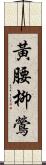 黃腰柳鶯 Scroll