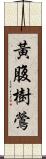 黃腹樹鶯 Scroll