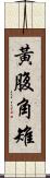 黃腹角雉 Scroll