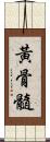 黃骨髓 Scroll