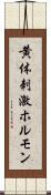 黄体刺激ホルモン Scroll