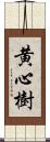 黄心樹 Scroll