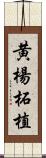 黄楊 Scroll