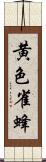 黄色雀蜂 Scroll