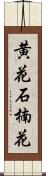 黄花石楠花 Scroll