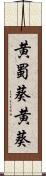 黄蜀葵 Scroll