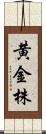黄金株 Scroll
