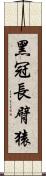 黑冠長臂猿 Scroll