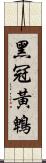 黑冠黃鵯 Scroll