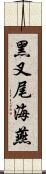 黑叉尾海燕 Scroll