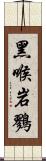 黑喉岩鷚 Scroll