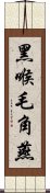 黑喉毛角燕 Scroll