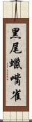 黑尾蠟嘴雀 Scroll