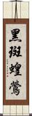 黑斑蝗鶯 Scroll