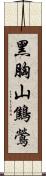 黑胸山鷦鶯 Scroll