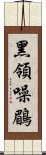 黑領噪鶥 Scroll