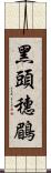 黑頭穗鶥 Scroll