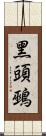 黑頭鵐 Scroll