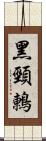 黑頸鶇 Scroll