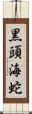 黒頭海蛇 Scroll