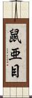 鼠亜目 Scroll
