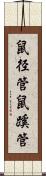 鼠径管 Scroll