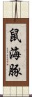 鼠海豚 Scroll