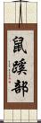 鼠蹊部 Scroll