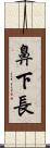 鼻下長 Scroll