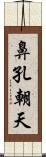 鼻孔朝天 Scroll