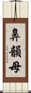 鼻韻母 Scroll
