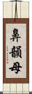 鼻韻母 Scroll