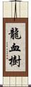 龍血樹 Scroll