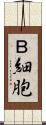 Ｂ細胞 Scroll