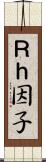 Ｒｈ因子 Scroll