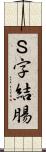 Ｓ字結腸 Scroll