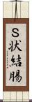 Ｓ状結腸 Scroll