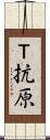 Ｔ抗原 Scroll