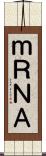 ｍＲＮＡ Scroll