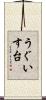 うぐいす台 Scroll