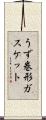 うず巻形ガスケット Scroll