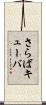 さらばキューバ Scroll
