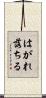 はがれ落ちる Scroll
